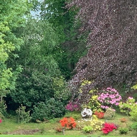Bed and Breakfast West Plean House Стерлинг Экстерьер фото