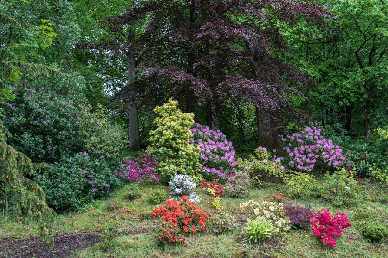 Bed and Breakfast West Plean House Стерлинг Экстерьер фото